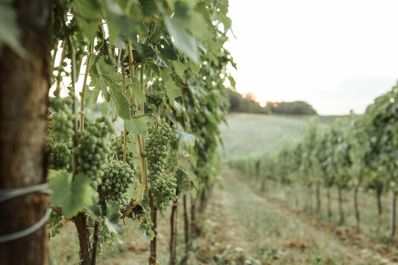 فيلا Perelli Winery Bucine المظهر الخارجي الصورة